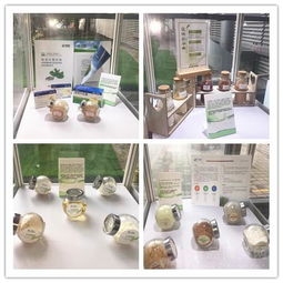 2017上海NEX展會現場直擊 植物提取物優質供應商產品展示秀，生態健康賦能全球