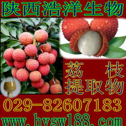 供應(yīng)荔枝提取物 天然植物提取物的價(jià)值與選購指南