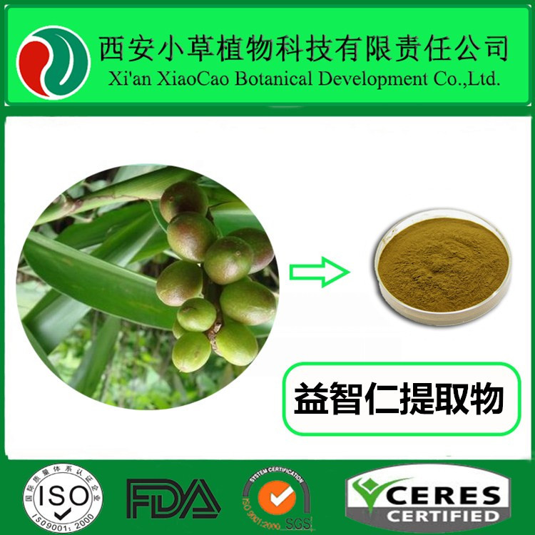 益智仁提取物 功效、應(yīng)用與市場解析